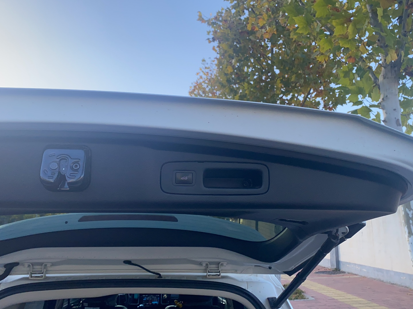 Used Honda Elysion 2016 2.4L Luxury Edition
