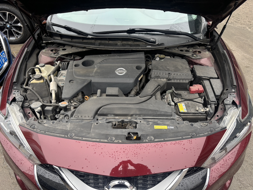 Used Nissan Maxima 2016 2.5L XV Ultimate Edition
