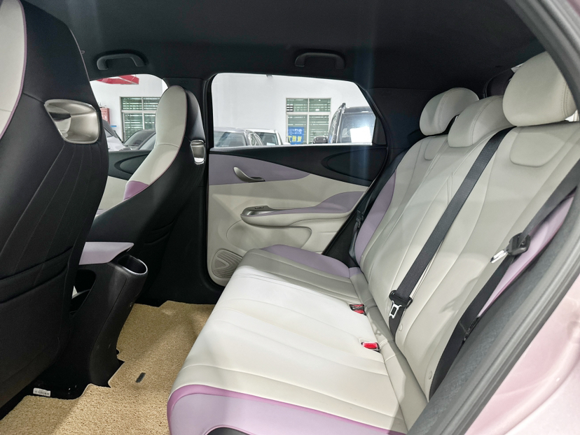 Used BYD Dolphin 2021 405 km Free Version
