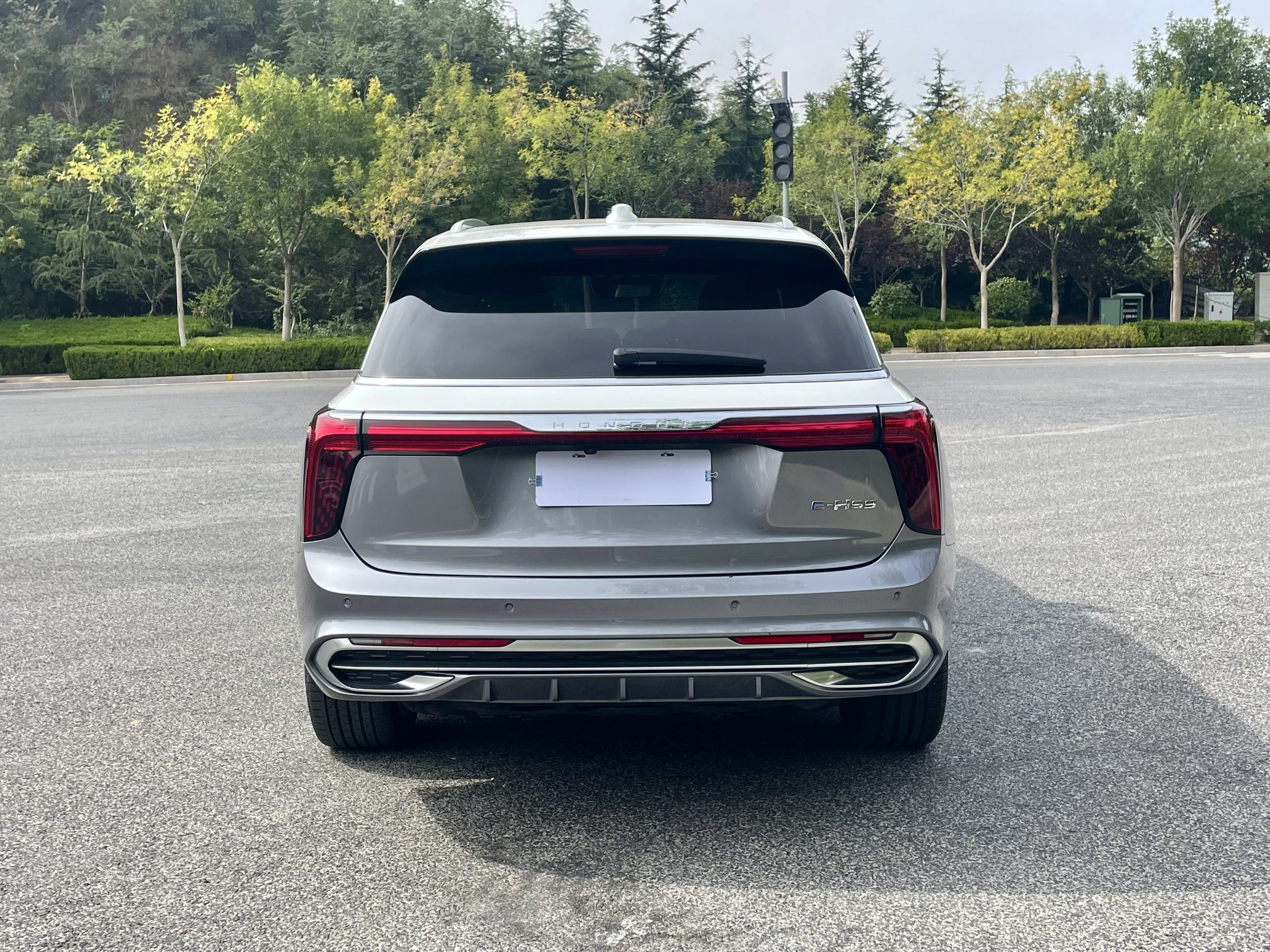 Used Hongqi E-HS9 2021 460 km Range Flagship Edition Six-Seater
