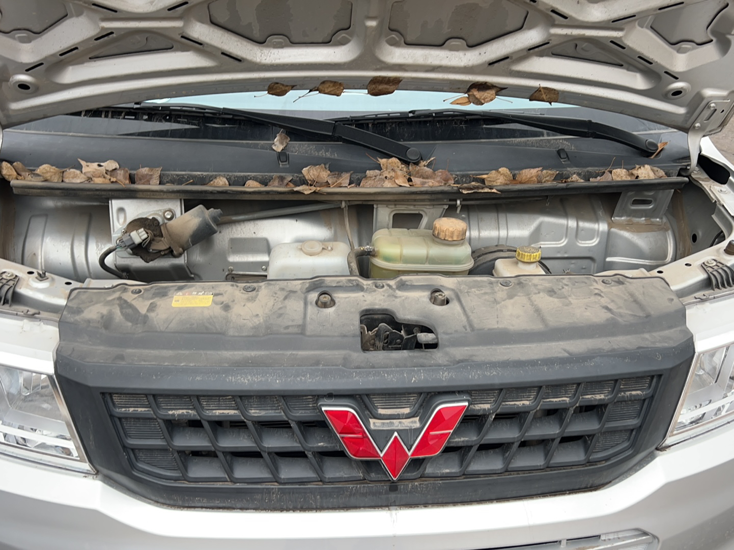 Used Wuling Rongguang New Truck 2019 1.5L Double-Cab China VI L3C
