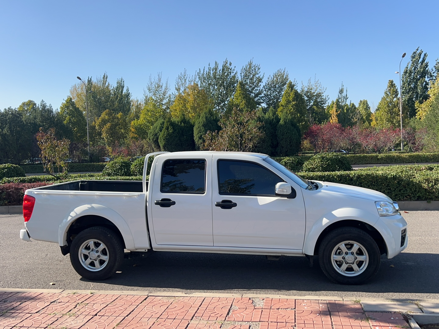 Used Great Wall Wingle 5 2021 2.0T Diesel Two-Wheel Drive Elite Version Big Double Cab China VI Standard GW4D20M
