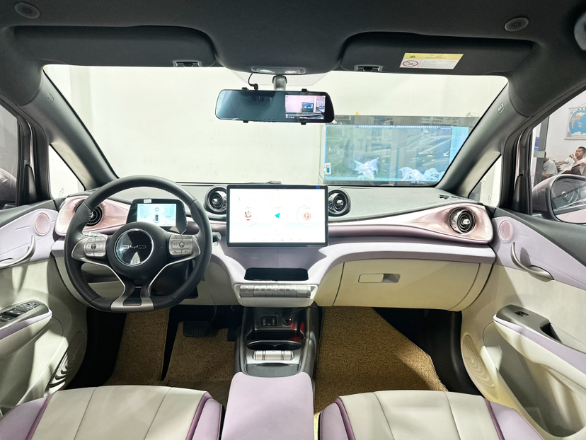 Used BYD Dolphin 2021 405 km Free Version
