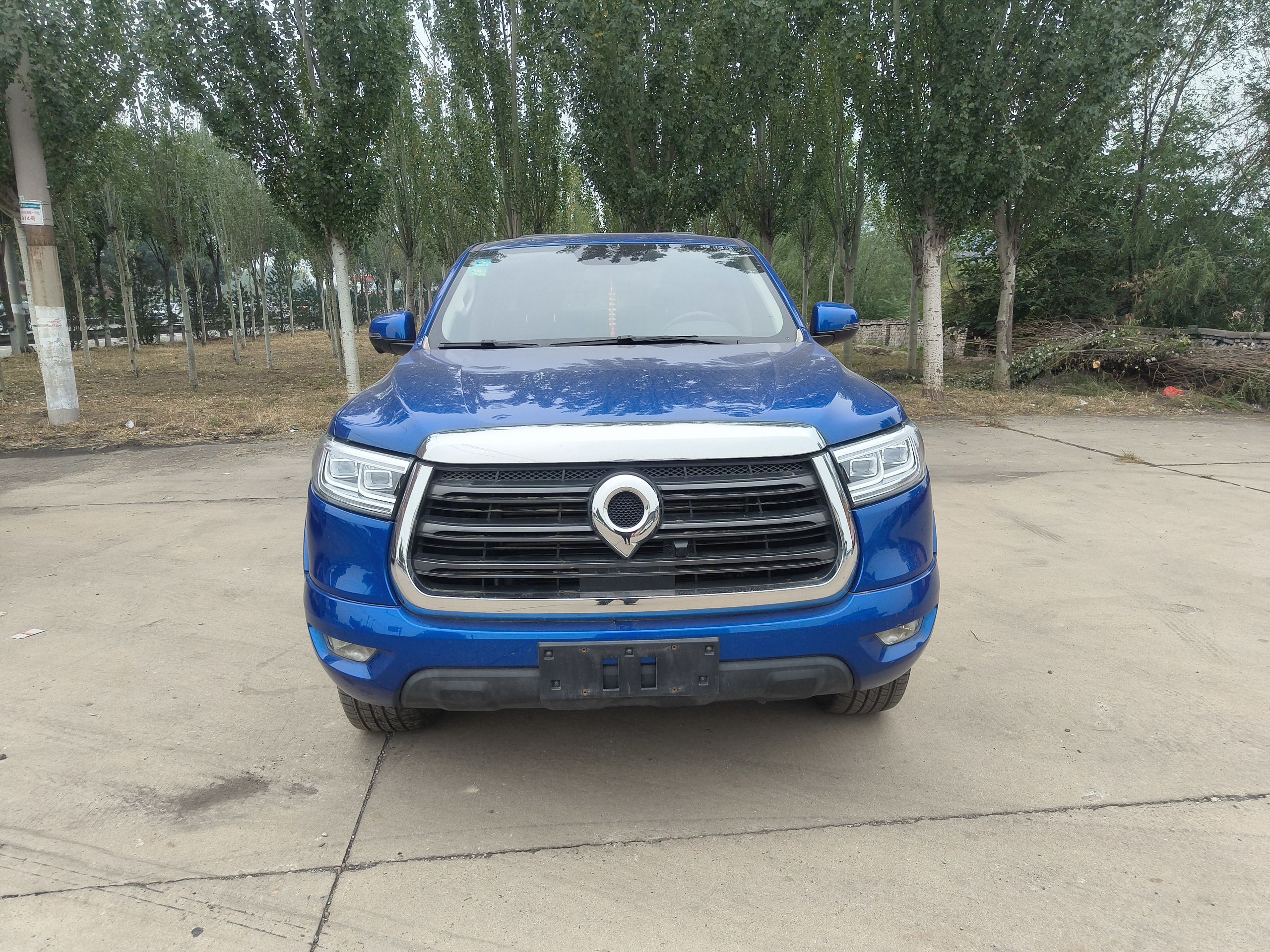 Used Great Wall Poer 2019 2.0T Automatic Gasoline 4x4 Comfort Edition GW4C20B
