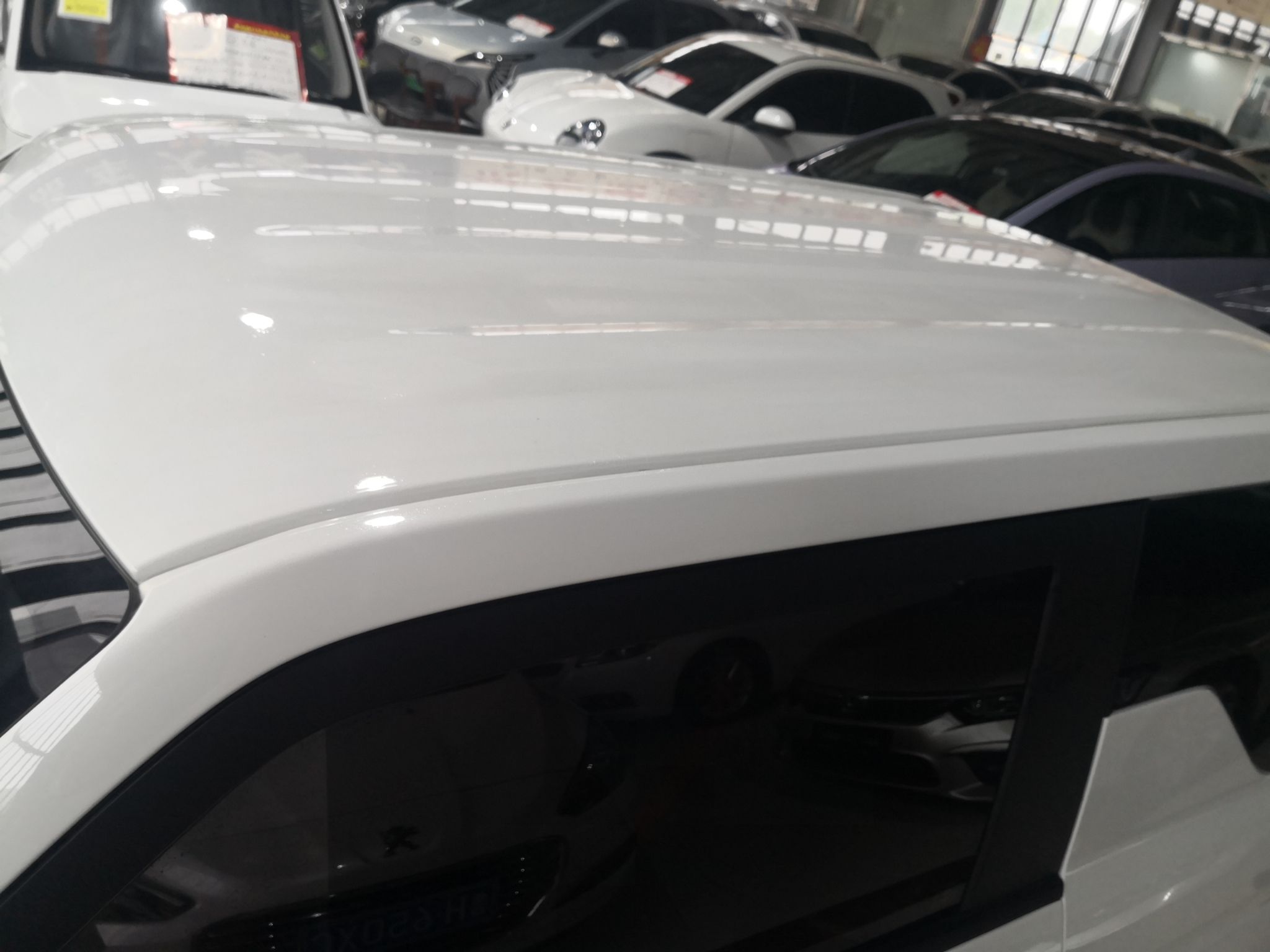 Used  Panda 2023 Panda Mini 200km Endurance Bear
