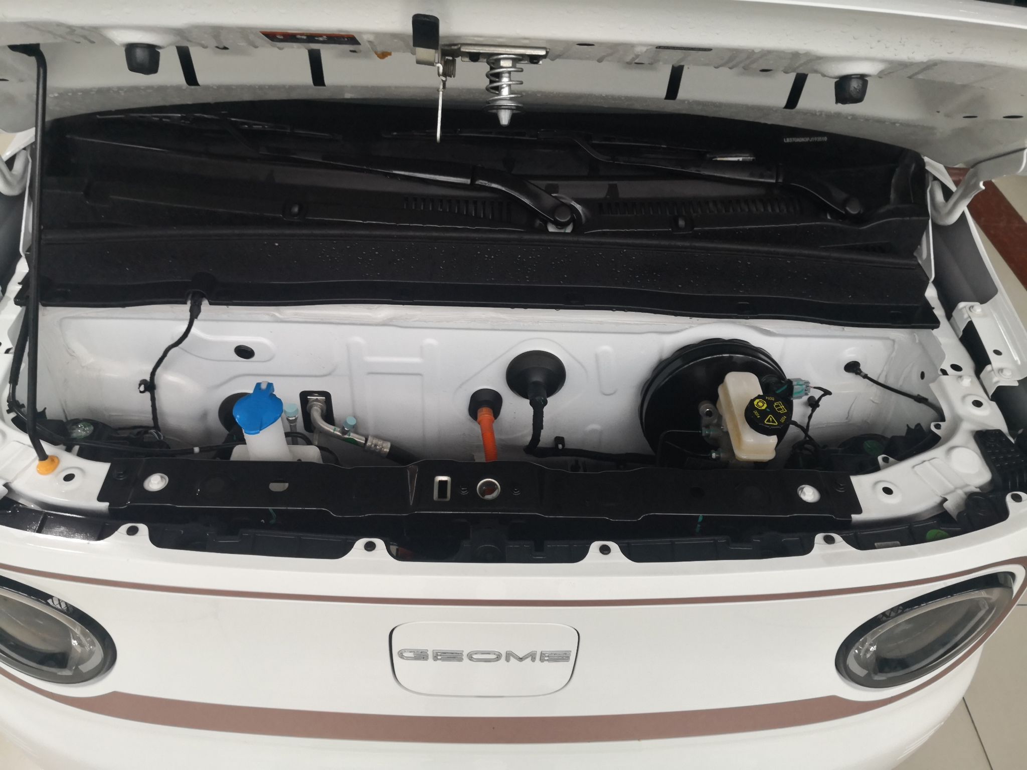 Used  Panda 2023 Panda Mini 200km Endurance Bear
