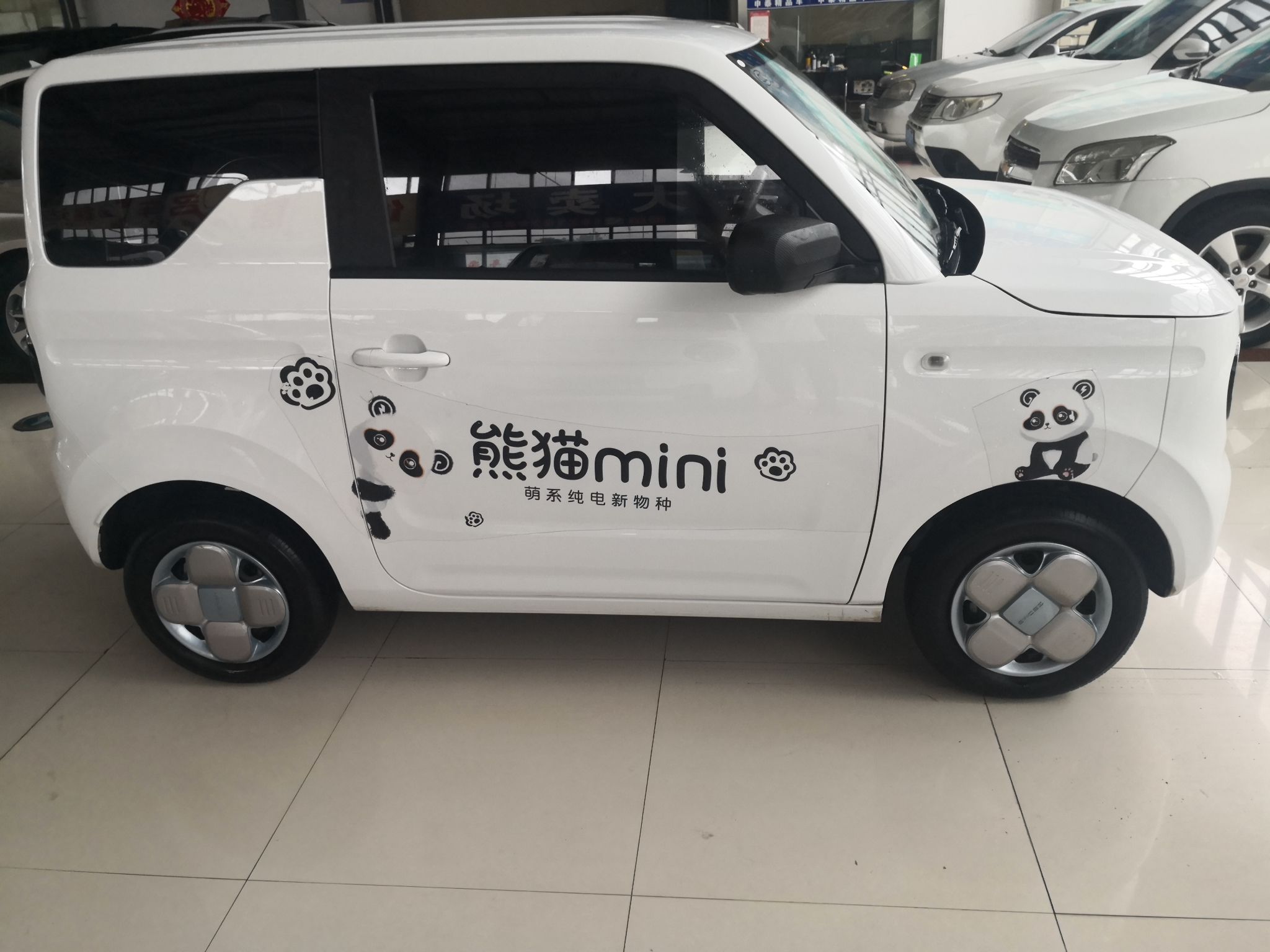 Used  Panda 2023 Panda Mini 200km Endurance Bear
